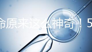 生命原來(lái)這么神奇！5個(gè)步驟詮釋胚胎培育的全過(guò)程