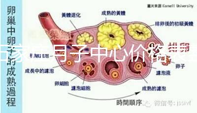 石家莊月子中心價格表整理，長安最貴最好的一家原來是它