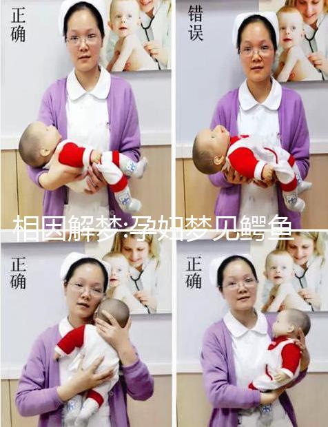 相因解夢:孕婦夢見鱷魚不一定意味著好事降臨!