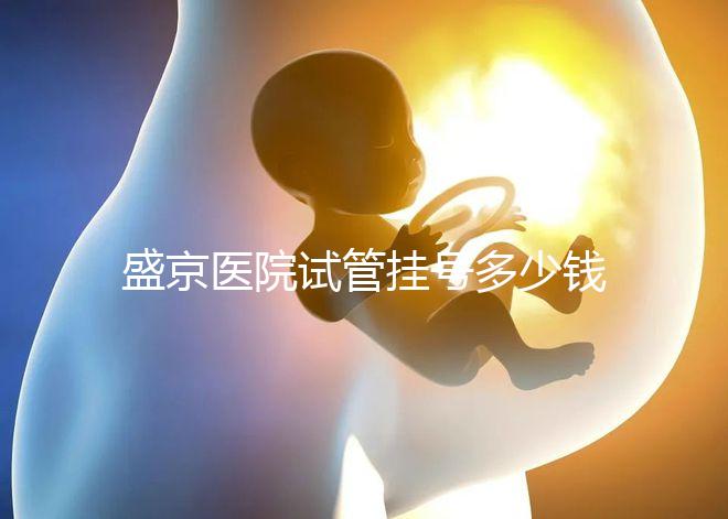 盛京醫(yī)院試管掛號多少錢、掛哪個(gè)科戳,附2024詳細(xì)流程