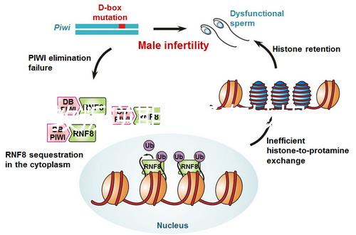 管教叛逆期孩子有妙招，這四個方法遠勝封閉式管理