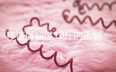 移植后超過10斤的重物別去搬，當心出現腹痛和陰道出血