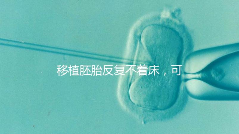 移植胚胎反復不著床，可能是這些原因造成的！