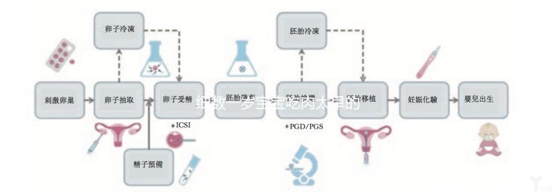 細(xì)數(shù)一歲寶寶吃肉太早的危害，早好還是晚好看完明白