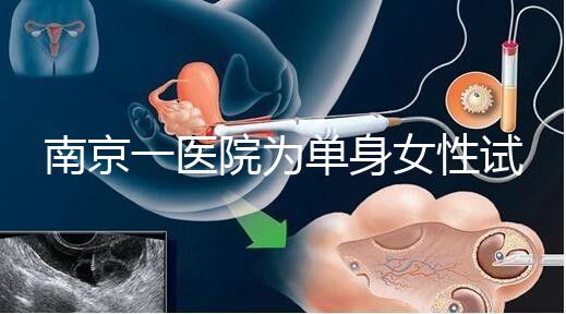 南京一醫院為單身女性試管助孕引爭議背后:當把生育需求納入法規框架