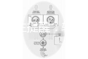 兒科醫(yī)生提醒：輪狀疫苗有不良反應(yīng)，輕微表現(xiàn)持續(xù)時(shí)間短