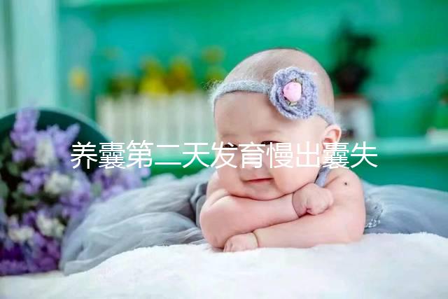 養(yǎng)囊第二天發(fā)育慢出囊失敗還有戲！前提：第三天繼續(xù)培育