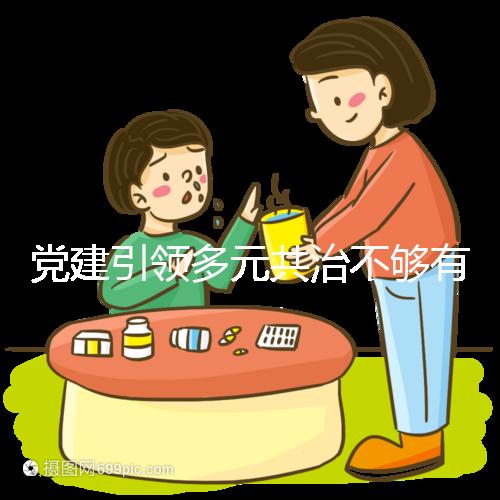 黨建引領(lǐng)多元共治不夠有力（黨建引領(lǐng) 多元共治）