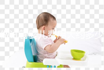 做試管嬰兒費(fèi)用大約多少錢？