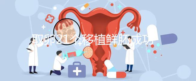 取卵21個移植鮮胚成功率真不低，前提：等卵巢恢復后再手術