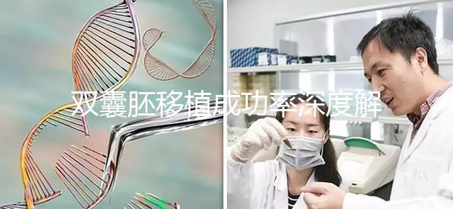 雙囊胚移植成功率深度解析：試管嬰兒成功的關(guān)鍵所在