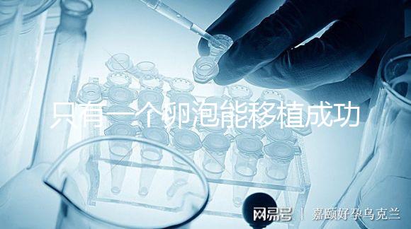 只有一個卵泡能移植成功嗎？別擔心!過來人告訴你好孕并不難