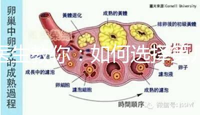 醫生教你：如何選擇第幾代試管嬰兒？看完再選