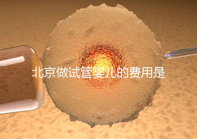北京做試管嬰兒的費用是多少錢？詳細流程是怎樣的？