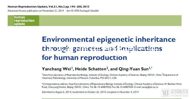 別還不知道試管移植當天打什么針容易著床，用對能更快好孕