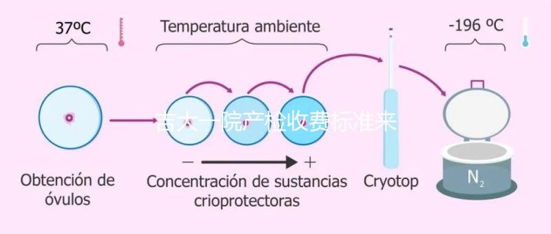 吉大一院產(chǎn)檢收費(fèi)標(biāo)準(zhǔn)來了！免費(fèi)項(xiàng)目和報(bào)銷比例一文說明