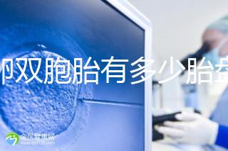 同卵雙胞胎有多少胎盤？1個or2個當場講給你聽