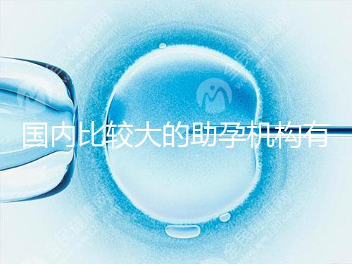 國內比較大的助孕機構有哪些？盤點2024中國正規助孕機構名單