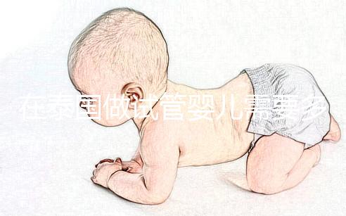 在泰國(guó)做試管嬰兒需要多長(zhǎng)時(shí)間？這些步驟缺一不可？