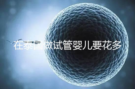 在泰國(guó)做試管嬰兒要花多少錢？一位助孕顧問(wèn)的深夜坦白