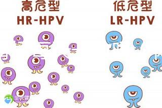 體育場每天開放嗎(體育場每天開放嗎現在)