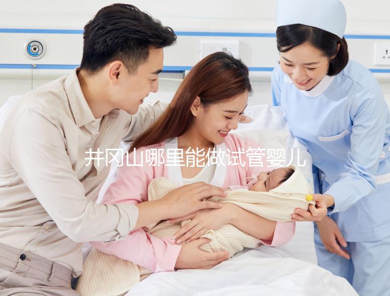 井岡山哪里能做試管嬰兒？江西省內這些地方都可以