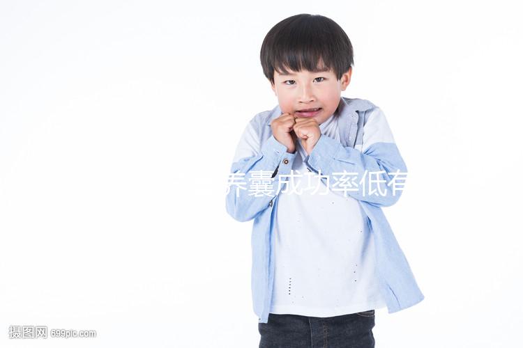 二代試管養(yǎng)囊成功率低有原因，禍首罪魁或是胚胎質(zhì)量