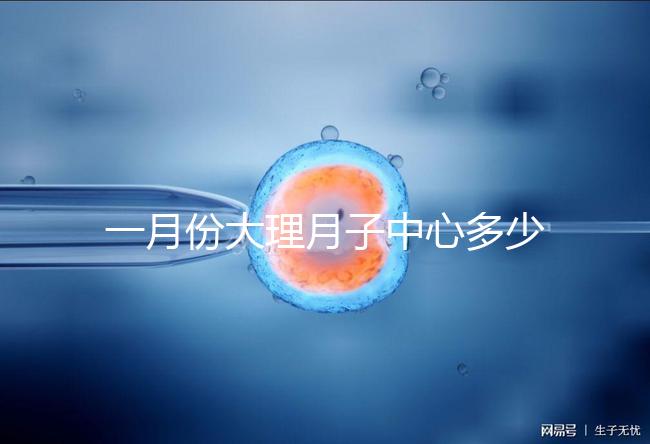 一月份大理月子中心多少錢早知道，2024年排名前十的機(jī)構(gòu)
