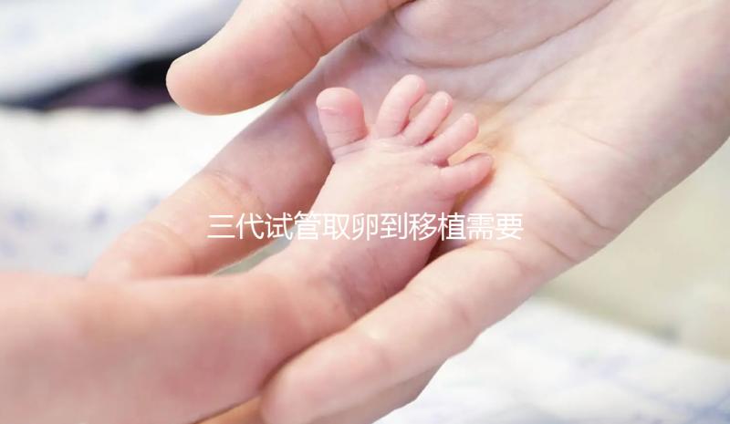 三代試管取卵到移植需要多久？總體時間安排分析