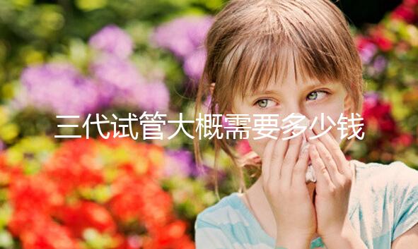 三代試管大概需要多少錢？