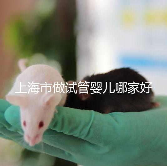 上海市做試管嬰兒哪家好？2025年權(quán)威醫(yī)院排名與成功率詳細(xì)對比