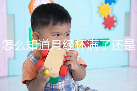 怎么知道月經杯滿了還是沒滿看這，3大感覺說明快溢出來了