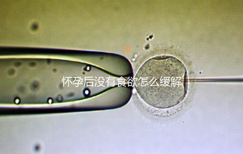 懷孕后沒有食欲怎么緩解？