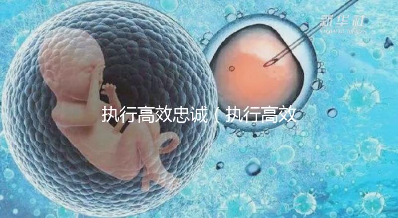 執行高效忠誠（執行高效忠誠的成語）