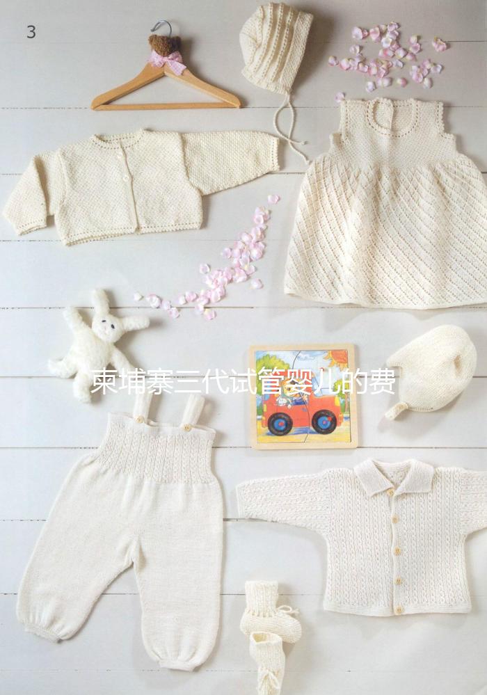 柬埔寨三代試管嬰兒的費用、成功率、流程一文說明！