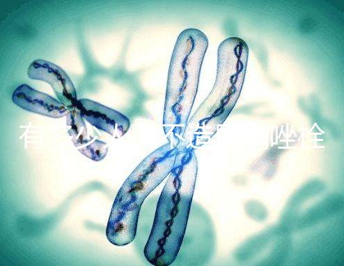 有多少人戳不造甲硝唑栓，對神經損傷請慎用