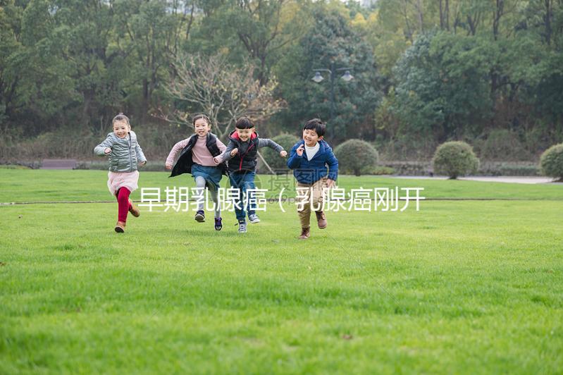 早期乳腺癌（乳腺癌剛開(kāi)始什么感覺(jué)）