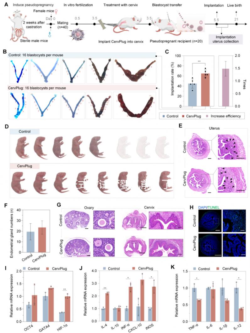 正式做試管嬰兒前，了解下北京協和醫院生殖中心怎么樣吧！
