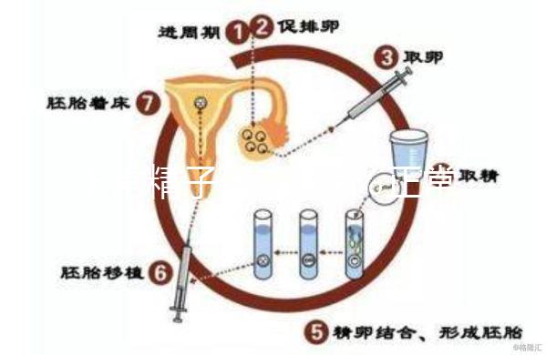 正常精子形態＞4％正常，流產與精子質量不好也有關