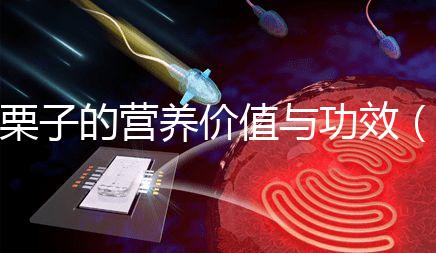 栗子的營養(yǎng)價(jià)值與功效（水果栗子的營養(yǎng)價(jià)值與功效）