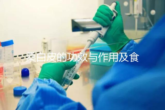 桑白皮的功效與作用及食用方法（桑白皮的最佳配伍）