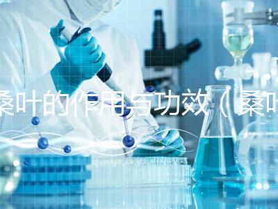 桑葉的作用與功效（桑葉的作用與功效及副作用降血糖）