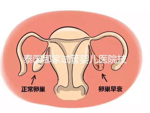 泰國(guó)哪家試管嬰兒醫(yī)院技術(shù)好?這些醫(yī)院排名前三