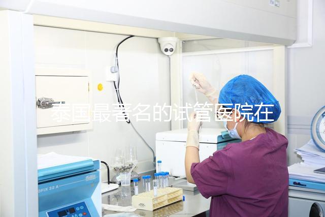 泰國最著名的試管醫院在哪里最好？推薦助孕機構名單