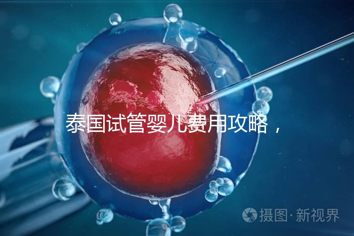 泰國試管嬰兒費用攻略，2025年詳細(xì)預(yù)算指南