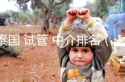 泰國(guó) 試管 中介排名（泰國(guó) 試管 中介排名前十）