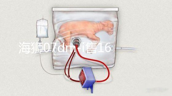 海獅07dm-i售16.98萬元起（海獅2021款）