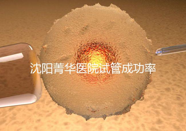 沈陽菁華醫院試管成功率高嗎？教你4招提升胚胎著床機會