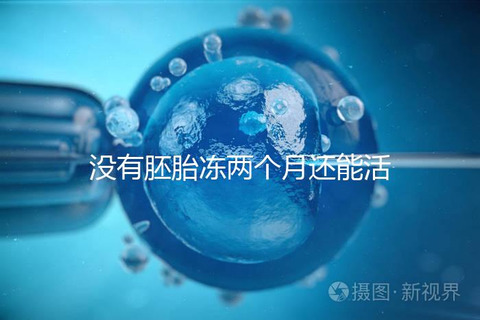 沒有胚胎凍兩個月還能活著嗎？60s會告訴你怎么樣？