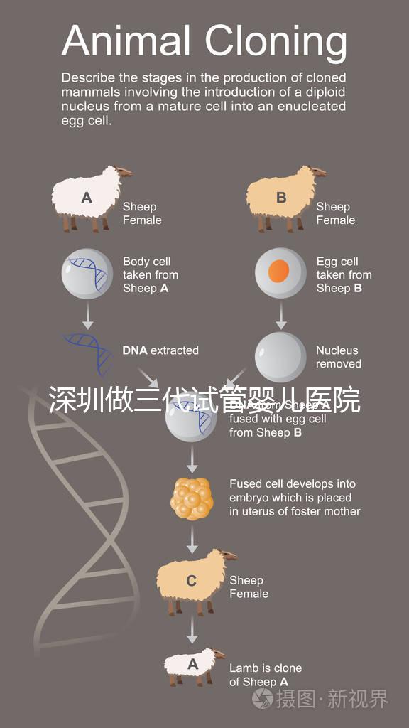 深圳做三代試管嬰兒醫(yī)院前10一覽,排名不分先后